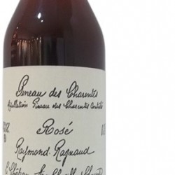 PINEAU DES CHARENTES ROUGE RAYMOND RAGNAUD 75 CL 17°