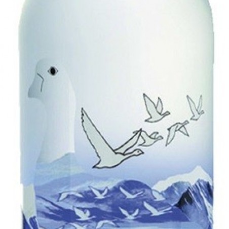 GREY GOOSE VODKA FRANCE 300 CL  40°