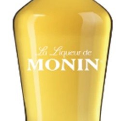 LIQUEUR D'ABRICOT BRANDY MONIN  70CL 20°