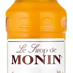 ABRICOT MONIN SIROP  70 CL