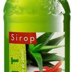 CACTUS PIMENT EYGUEBELLE SIROP INÉDIT   50 C L 