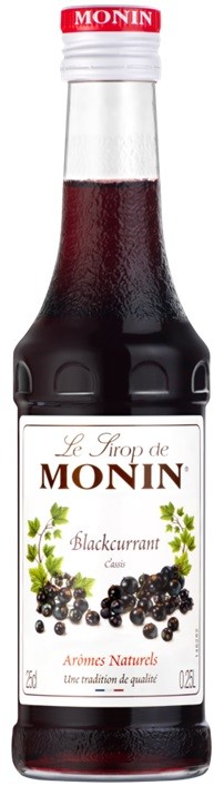 CASSIS 25 CL MONIN  SIROP