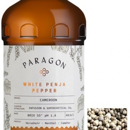 CORDIAL POIVRE BLANC DU PENJA "PARAGON" MONIN 48.5 CL