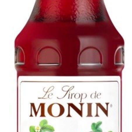 FRAISE 25 CL MONIN SIROP