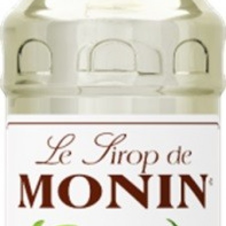 GINGEMBRE MONIN SIROP 70 CL