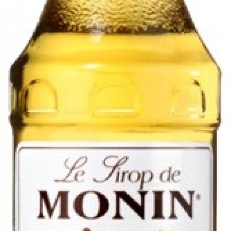 NOISETTE 25 CL MONIN SIROP 