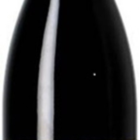 GEVREY CHAMBERTIN TRAPET 2023 AOC 75CL BIO 