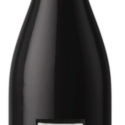 NUITS ST GEORGES VILLAGES GOUGES 2023 AOP 75 CL