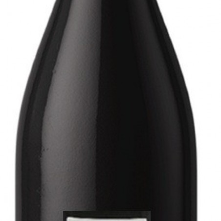 NUITS ST GEORGES VILLAGES GOUGES 2023 AOP 75 CL