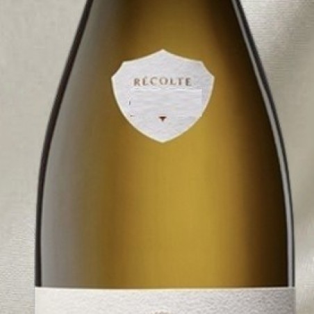 MEURSAULT CHARMES PAVILLON 2022 ALBERT BICHOT 