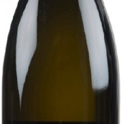 SAINT JOSEPH AOC BLANC RO  REE LOUIS CHEZE 2024  75 CL