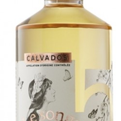 LE SONGE 4 ANS CALVADOS BIO DOMAINE DES 5 AUTELS 50CL 40°