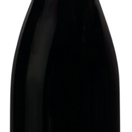 SAINT JOSEPH AOC DOMAINE PRADELLE 75 CL