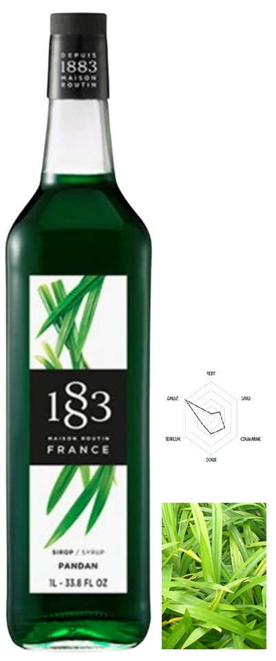 PANDAN ROUTIN SIROP 100CL
