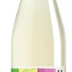 VERJUS ARTONIC BIO 75CL