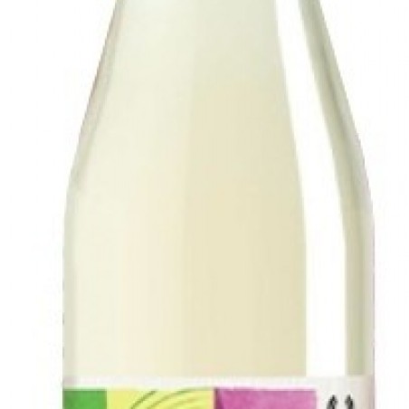 VERJUS ARTONIC BIO 75CL