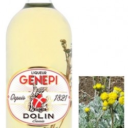GENEPI DOLIN 70CL 40°