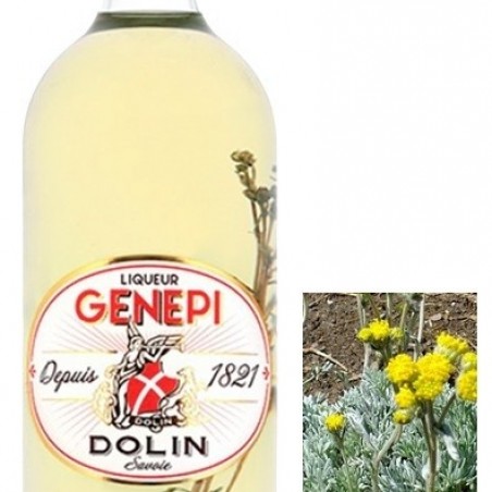 GENEPI DOLIN 70CL 40°