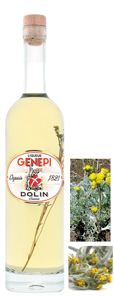 GENEPI DOLIN 70CL 40°