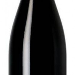 NUITS ST GEORGES 1° CRU LES PRULIERS 2023 DOMAINE  GOUGES