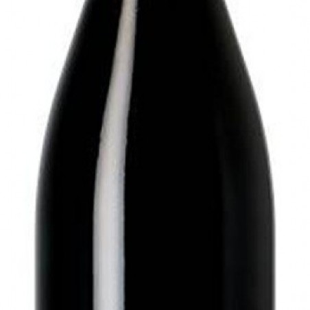 NUITS ST GEORGES 1° CRU LES PRULIERS 2023 DOMAINE  GOUGES
