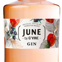 JUNE PECHE DE VIGNE & FRUITS DÉTÉ GIN FRANCE 70CL 37°5