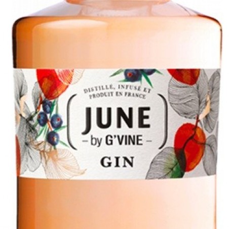JUNE PECHE DE VIGNE & FRUITS DÉTÉ GIN FRANCE 70CL 37°5