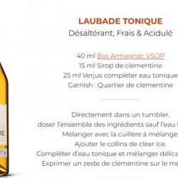 LAUBADE VSOP BAS ARMAGNAC 70 CL 40°