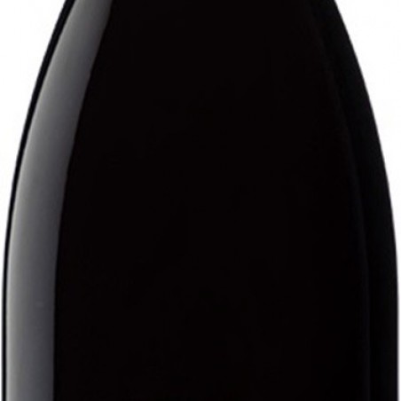 CHOREY-LES-BEAUNE DOM. DES TERREGELESSES 2022 BIO  AOC 75CL