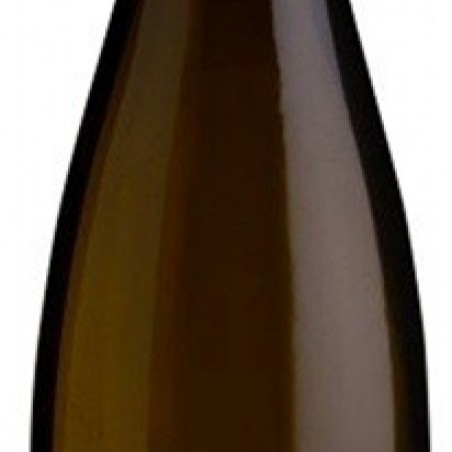 RIESLING RITTERPFAD HUTTARD 2020 ALSACE  75 CL