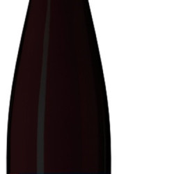 PINOT NOIR  ANCESTRAL WELTY  2023 BIO ALSACE AOP  75 CL