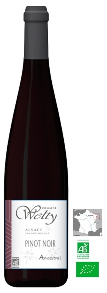 PINOT NOIR  ANCESTRAL WELTY  2023 BIO ALSACE AOP  75 CL