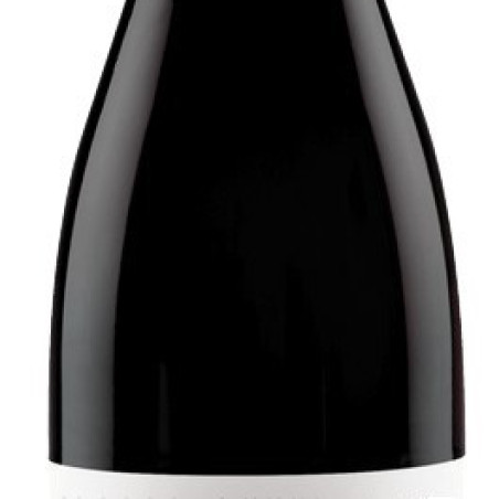 CÃTES ROUSSILLON VILLAGES AOC LES VIGNES DE BILA-HAUT 2021 