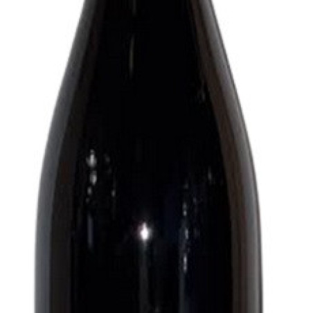 CROZES HERMITAGE AOC DOMAINE PRADELLE 2024 37.5 CL  