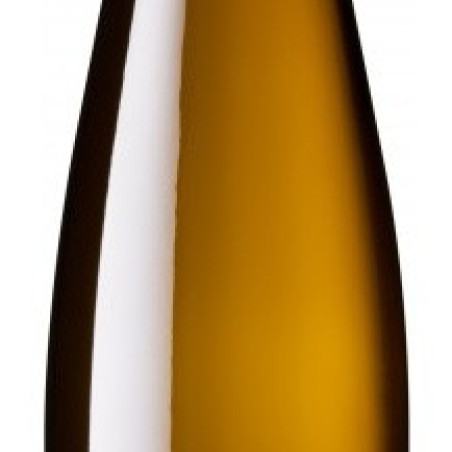 MUSCAT PRINCES ABBES SCHLUMBERGER 2025 ALSACE AOC 75 CL