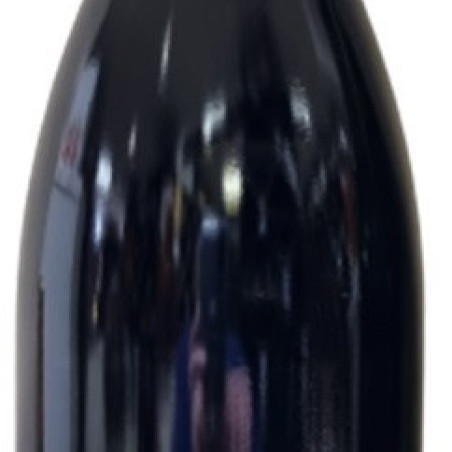 SAINT JOSEPH AOC "LES FAGOTTES" 2023 75 CL