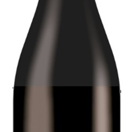 BEAUJOLAIS VILLAGES AOP DOMAINE DES NUGUES 2023 75 CL