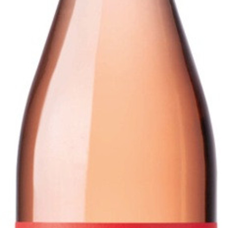 BARDOLINO CHIARETTO ROSE 2019 ITALIE DOC 75 CL SANTA SOFIA