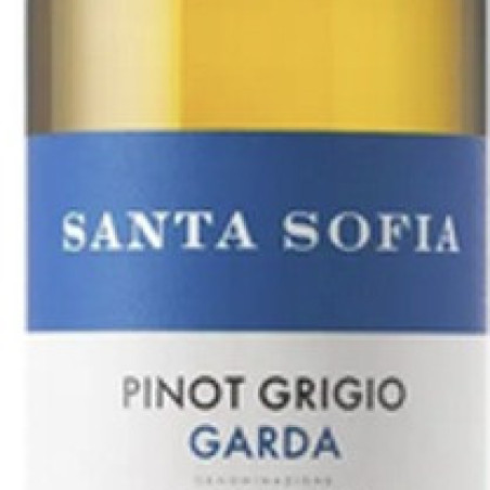 PINOT GRIGIO BLANC CALDERARE 2022 DOC VÃNÃTIE ITALIE 75 CL
