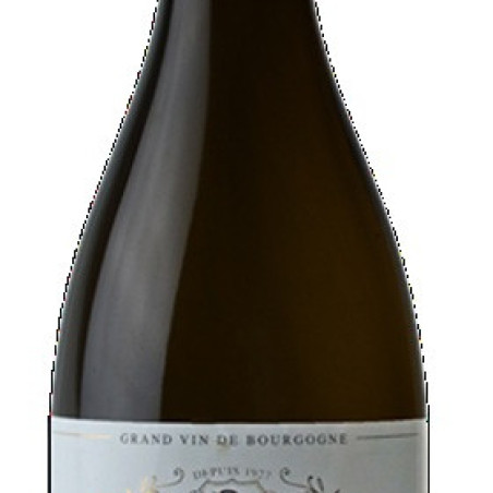 POUILLY FUISSE 1ER CRU AUX BOUTHIERRES  2022 AOP 75 C L