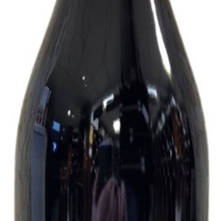 CHINON "LES CAROUGES" 2025 DE NEUVILLE  AOC  75 CL