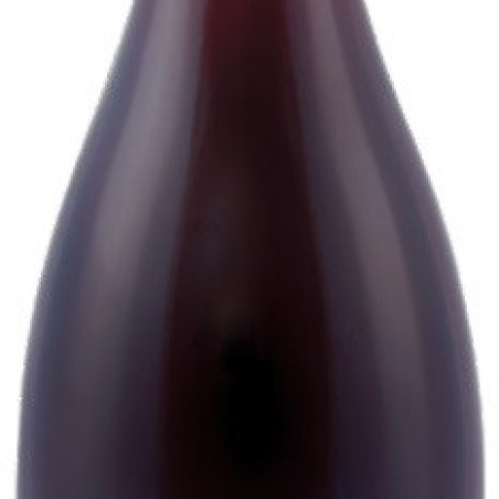 GAMAY DE SAVOIE AOC CHAUTAGNE 2023 75 CL