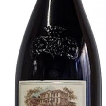 PUECH HAUT TÊTE DE BÉLIER ROUGE 2021 LANGUEDOC AOP