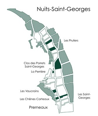 NUITS ST GEORGES 1° CRU LES PRULIERS 2018  DOMAINE GOUGES  