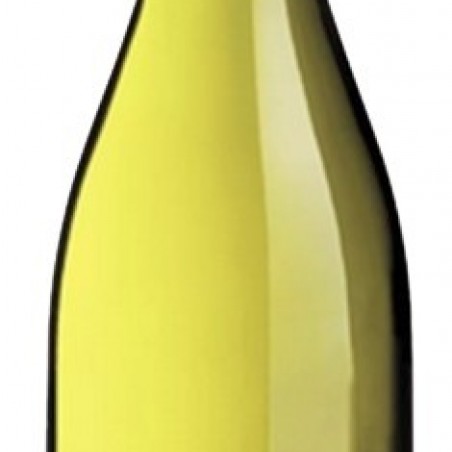 VERJUS BIO LEONCE 75CL